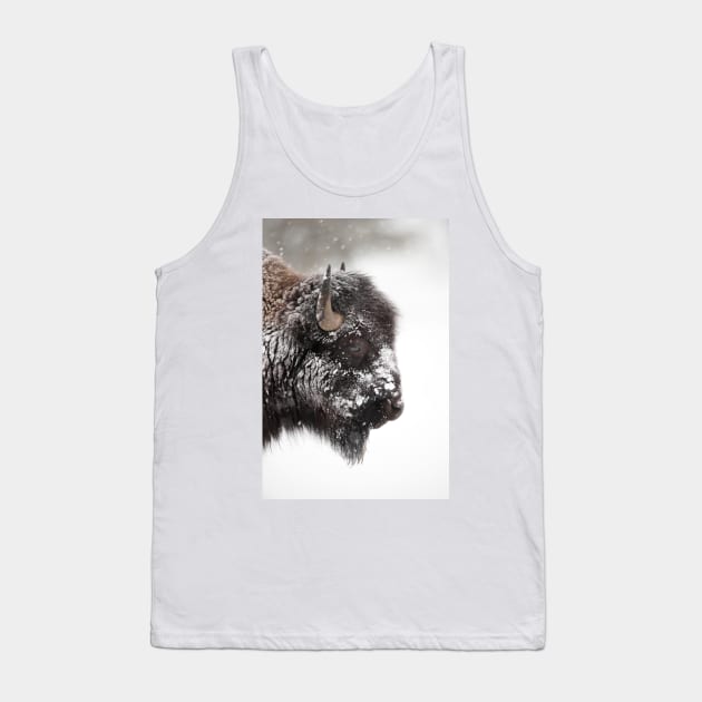 American bison (C011/1570) Tank Top by SciencePhoto